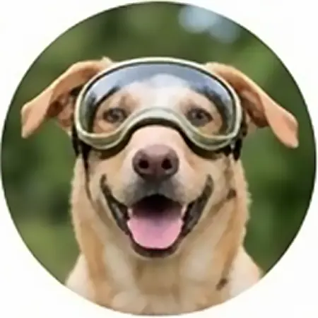 Виолетта
