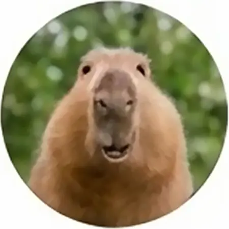 Хаят